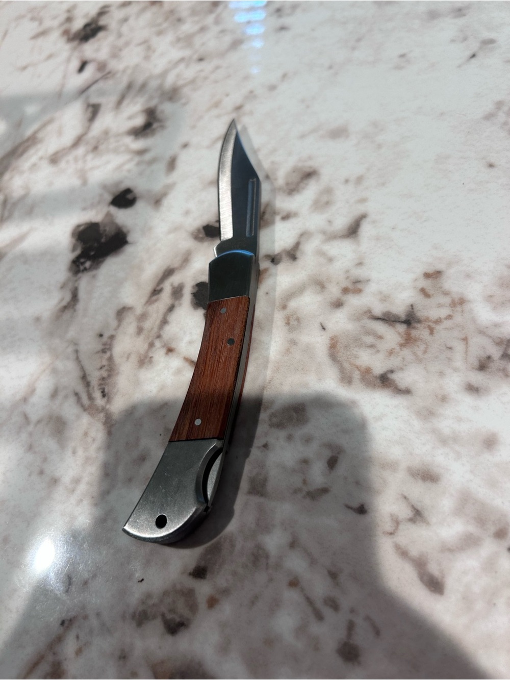 Classic Brown Wood-Handle Folding Buck Knife for Men Grooming